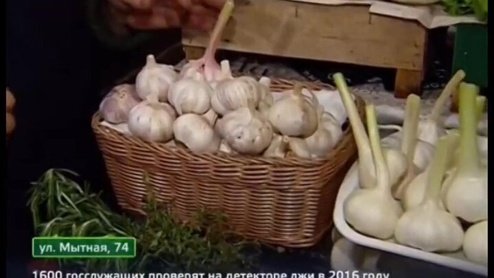Сколько Стоит Килограмм Чеснока В Магазине