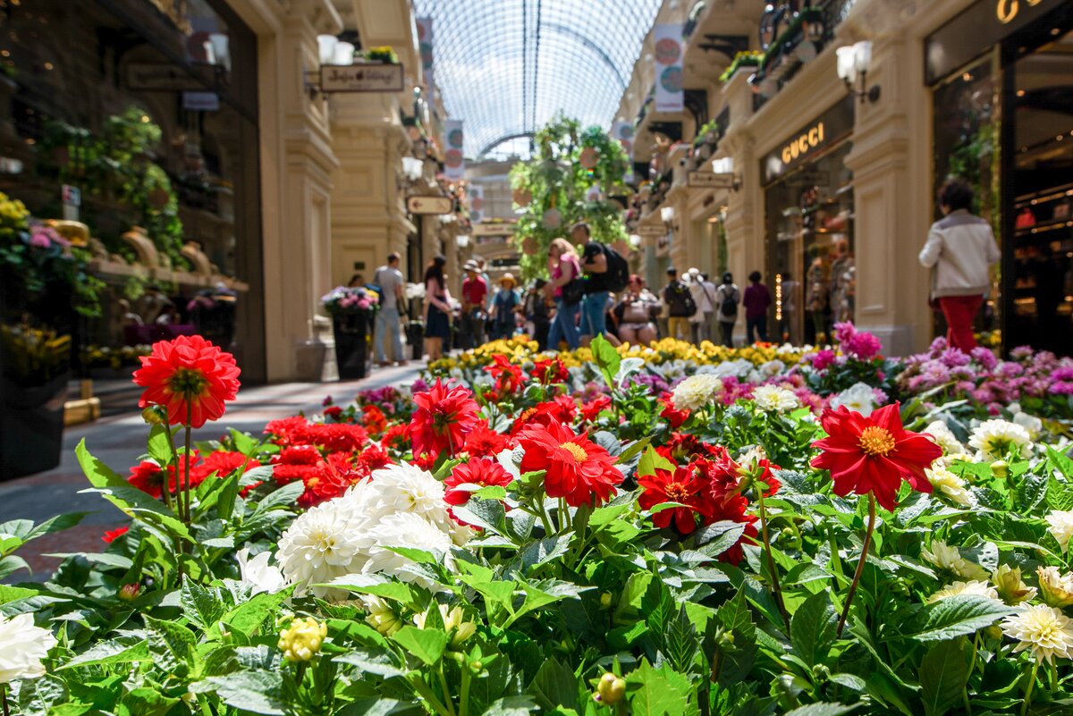 Flowers moscow. ГУМ Москва цветы. Фестиваль цветов. Фестиваль цветов в Москве. Москва в цветах.