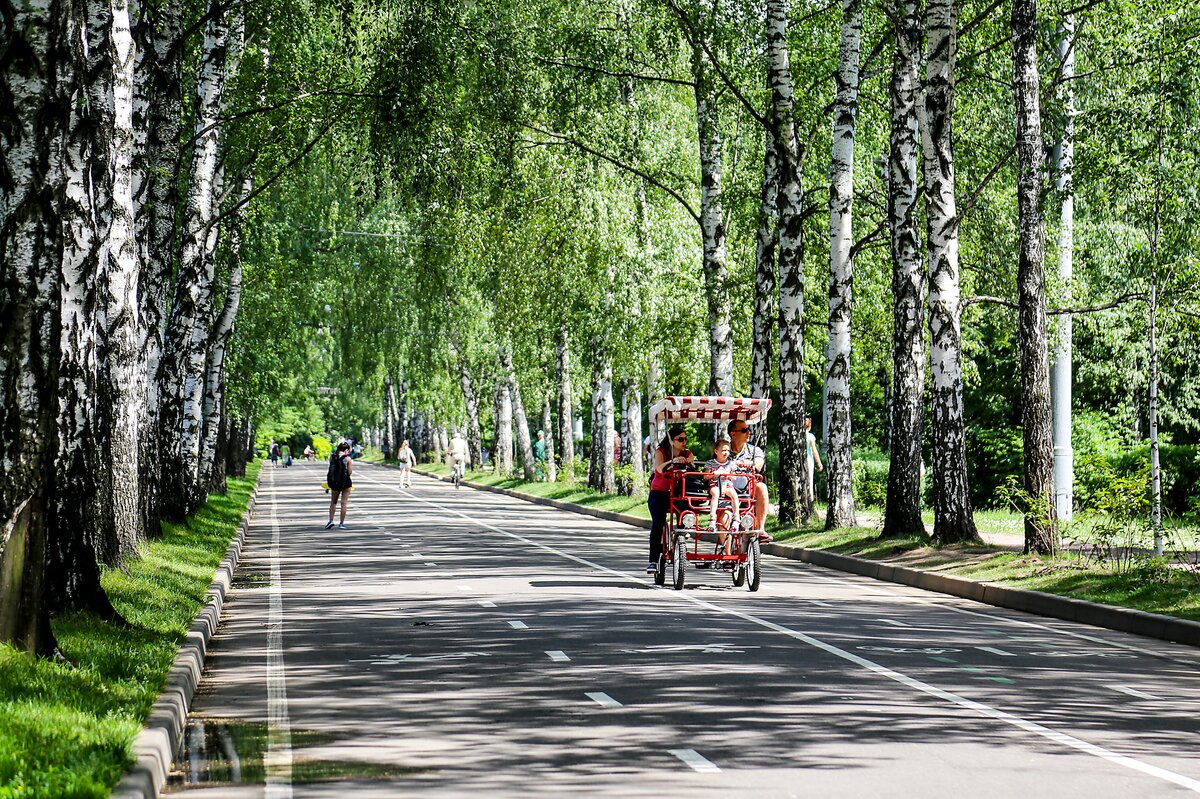 Парк в сокольниках фото