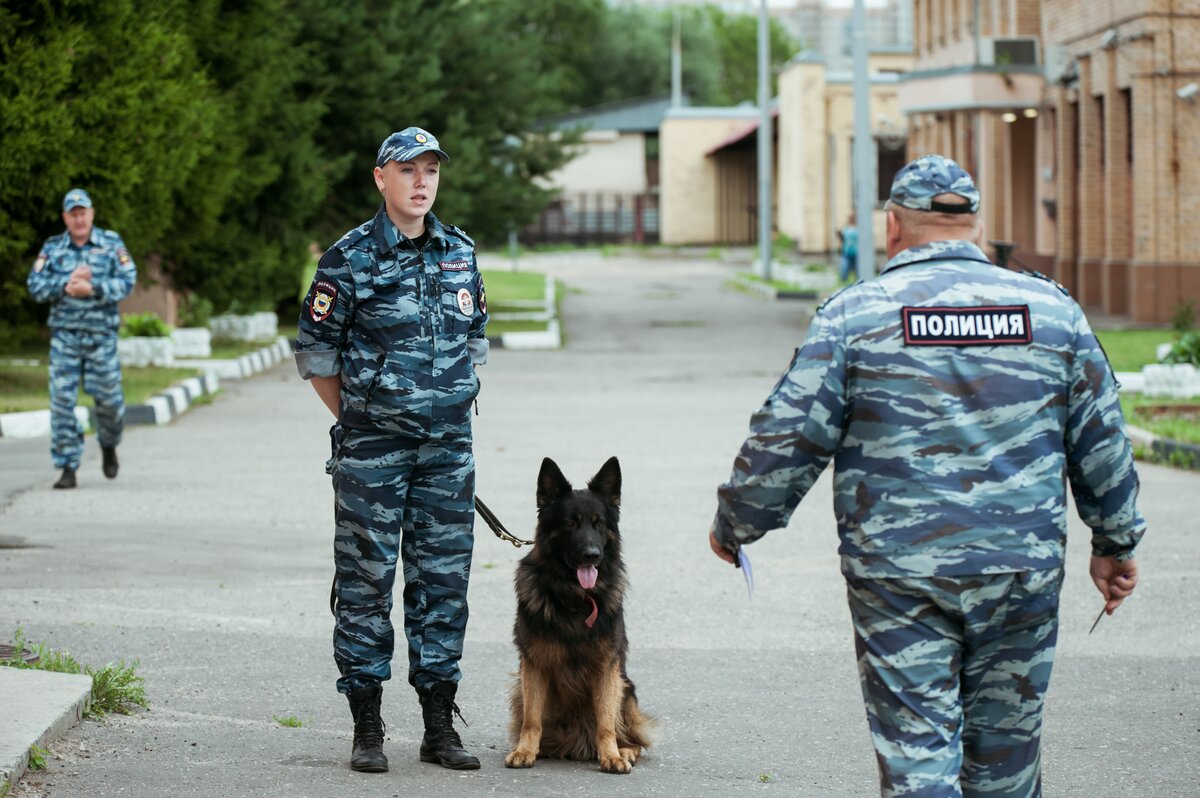 Фсин кинологи фото