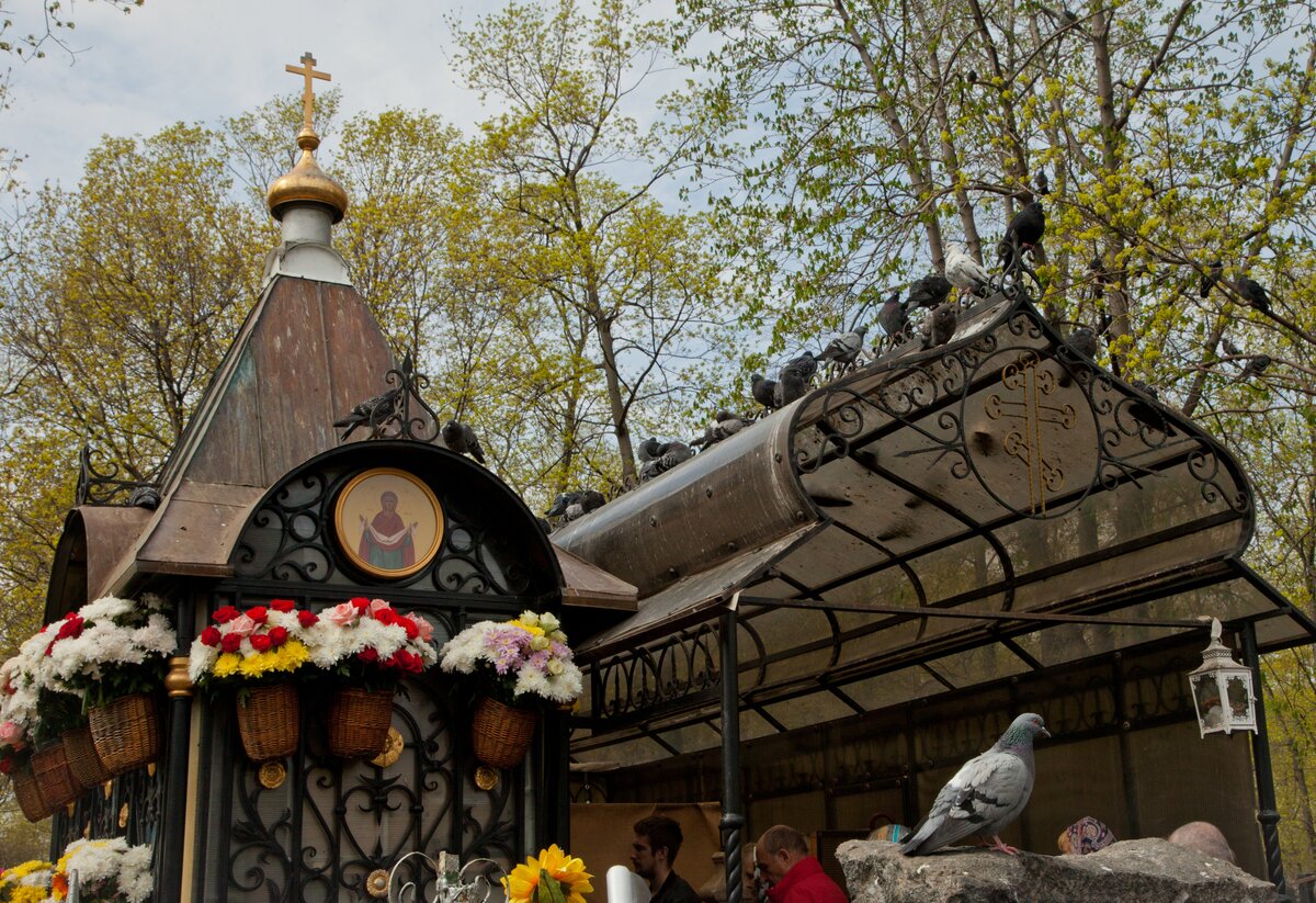 Могила матроны московской на даниловском кладбище фото