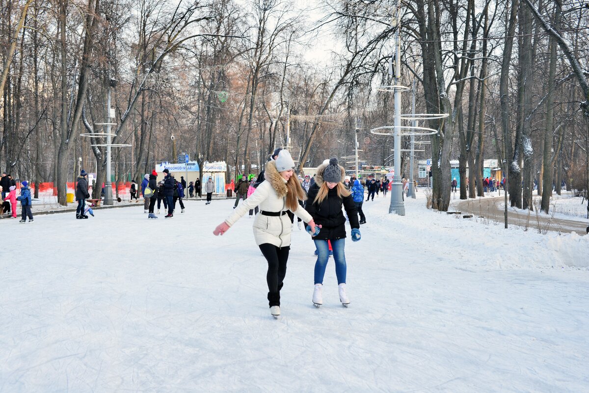 Парк Сокольники Каток Купить Билеты Онлайн