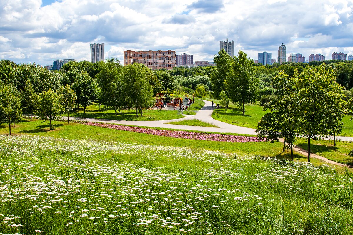 Летние фотографии в городе