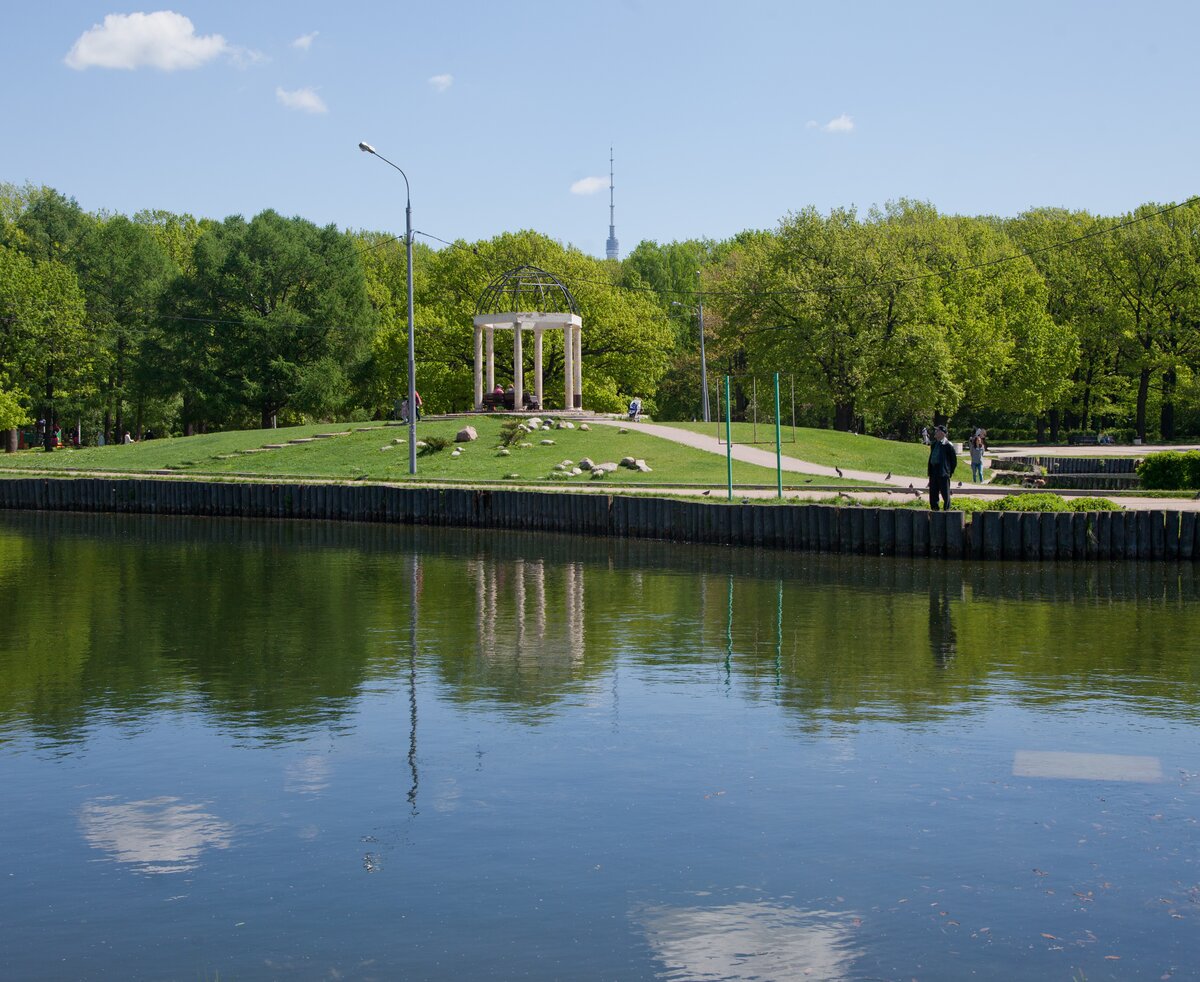 Парк дубки подольск фото