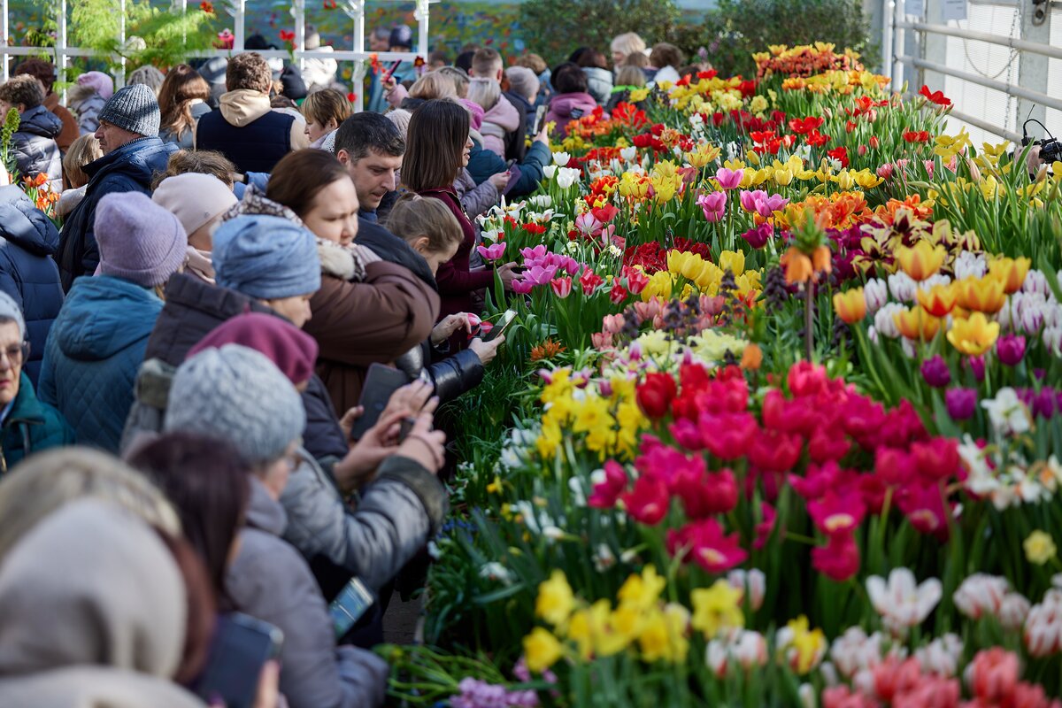 План аптекарского огорода в москве