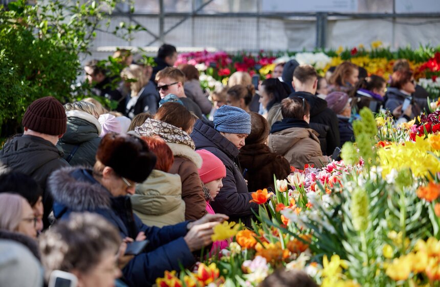 Аптекарский огород в москве картинки