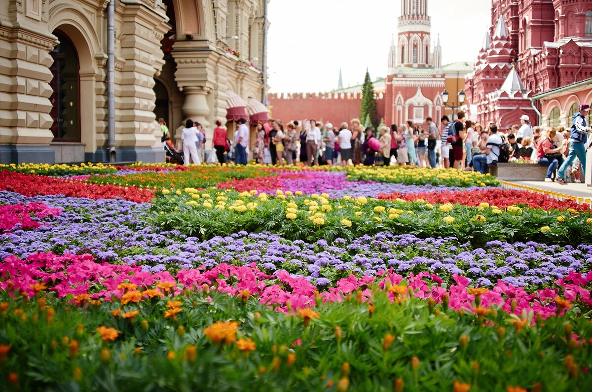 Лето в москве фото красивые