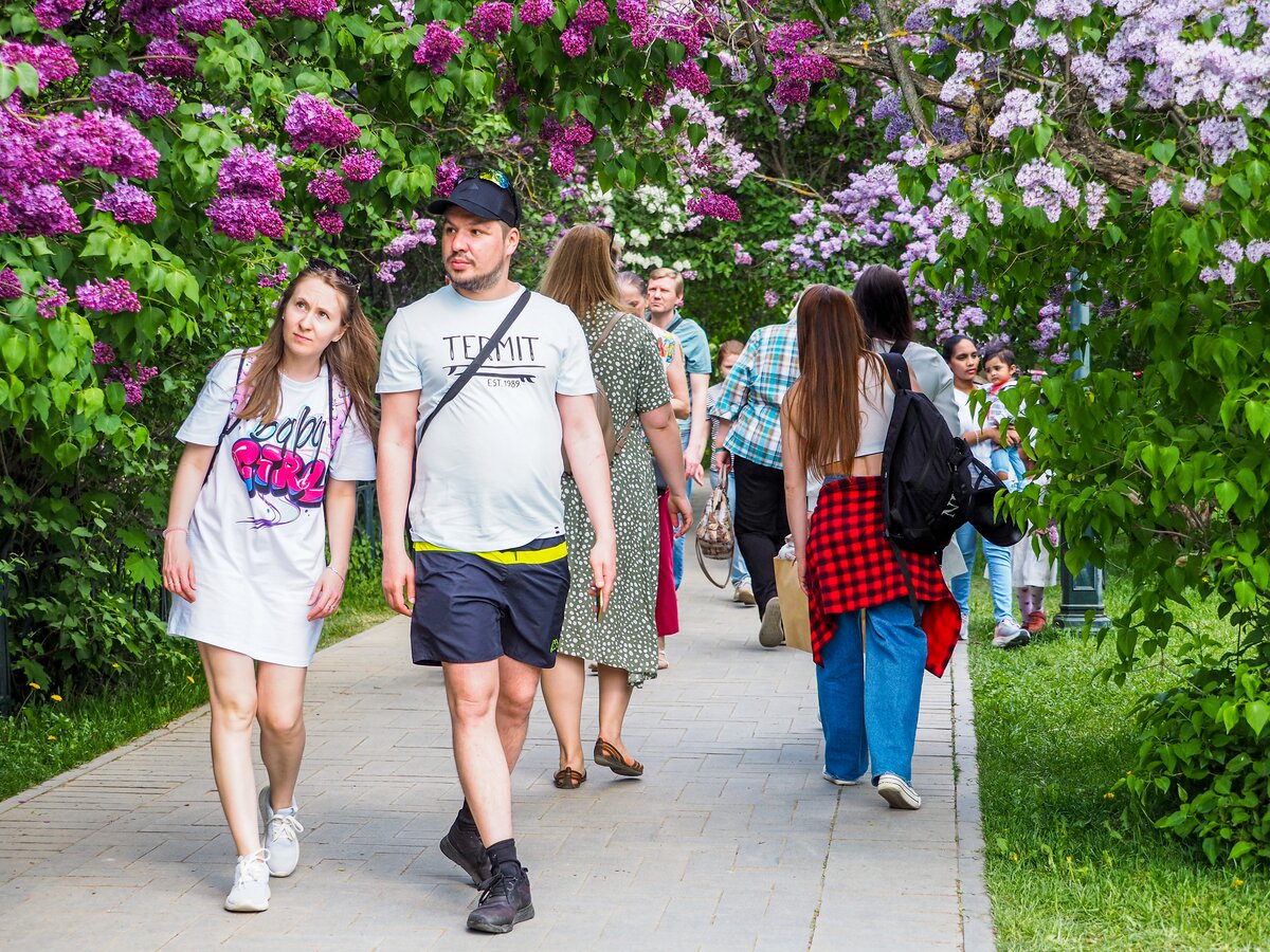 сиреневый парк в москве