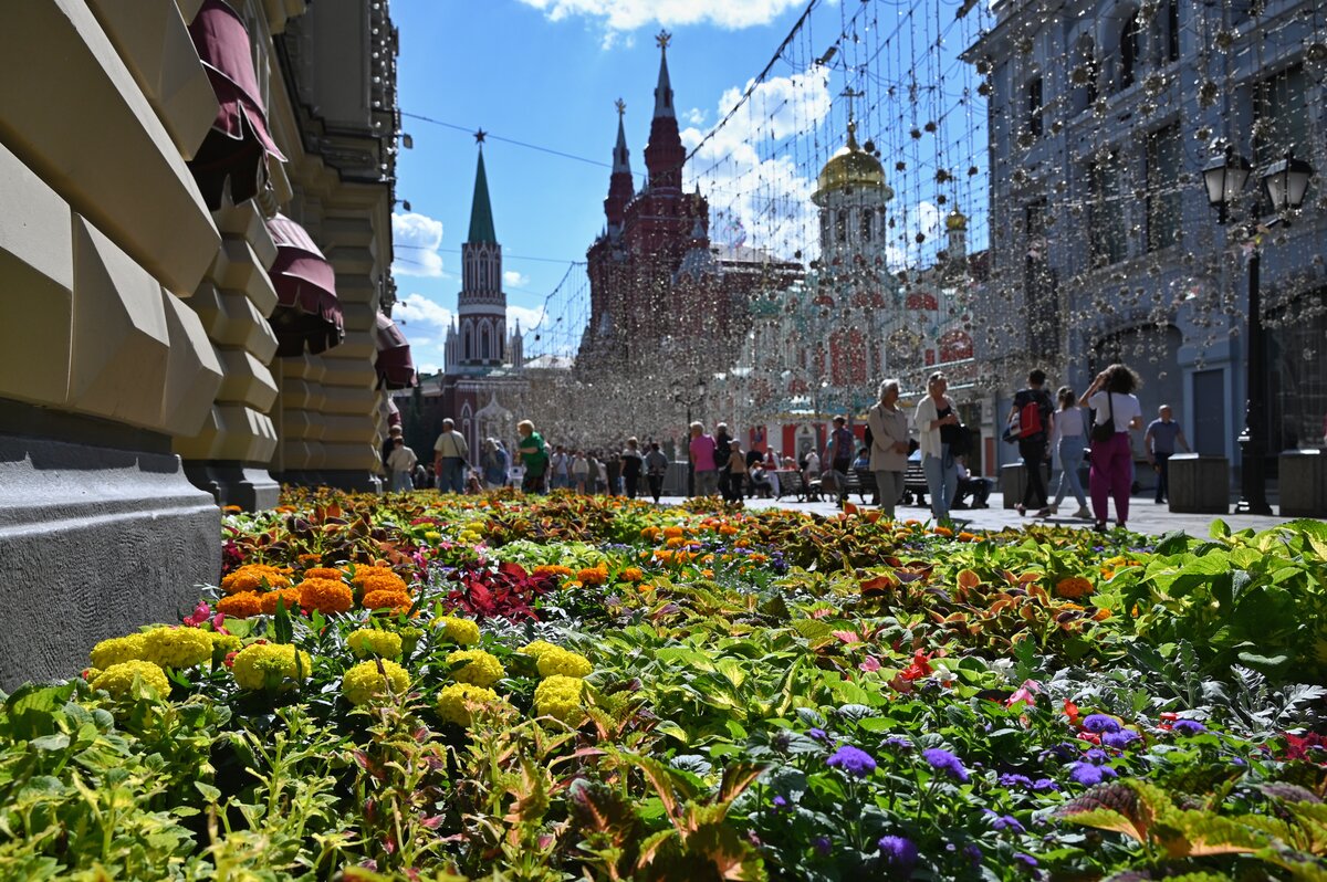 Фото Цветов Москва