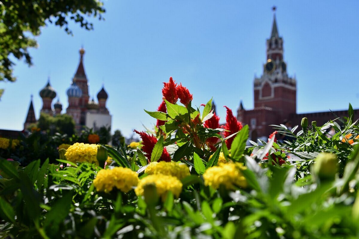 Фото Цветов Москва