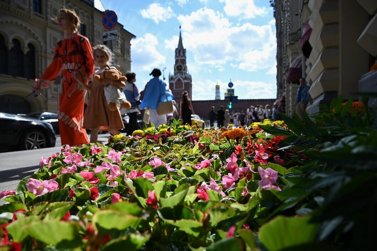 Город цветет