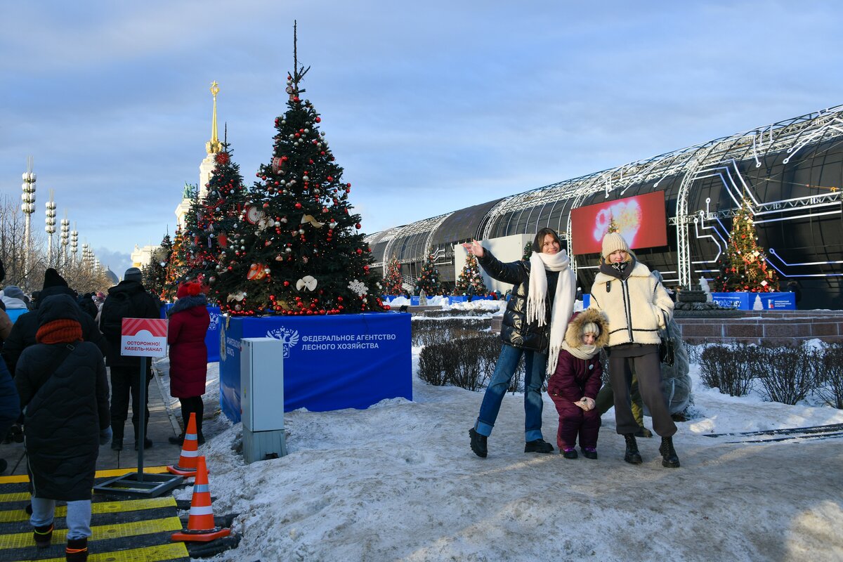 Подготовь