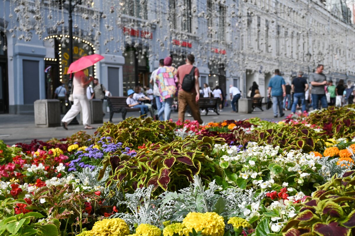 Фото Цветов Москва