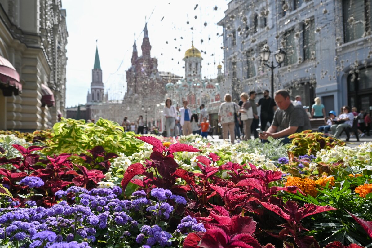 Фото Цветов Москва