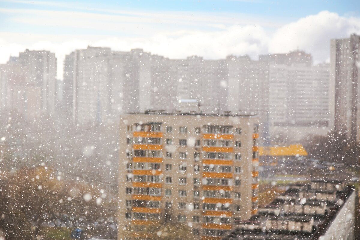 Воздух ноября. Аномальная погода. Аномальная погода в Москве в январе. Ветер в Москве 23 ноября 2008. 11 Ноября Москва погода снег.