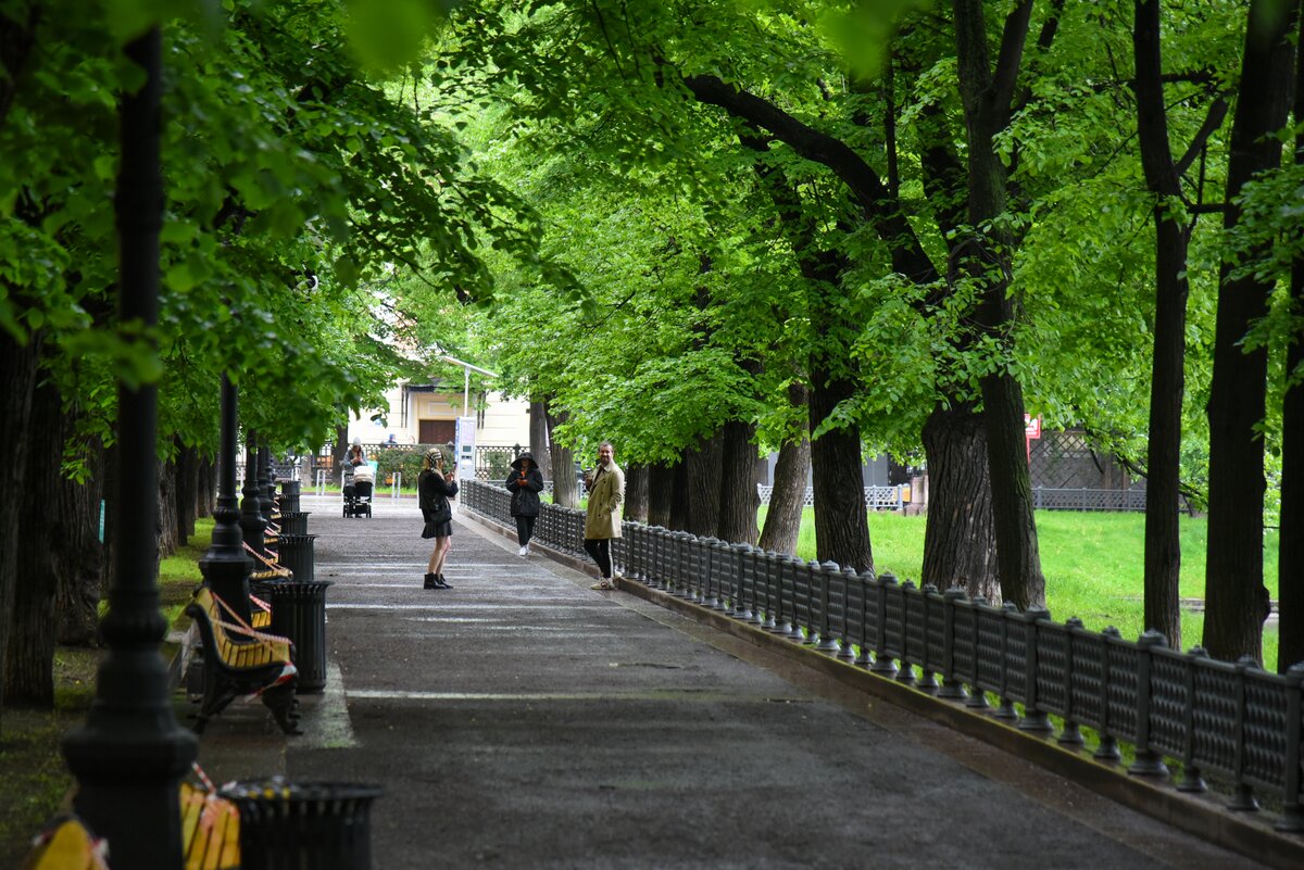 Петербург какие парки открыты. ЦКПО В Санкт-Петербурге. Парк столиц организации. Парк ЦКПО. Парк столиц фото.