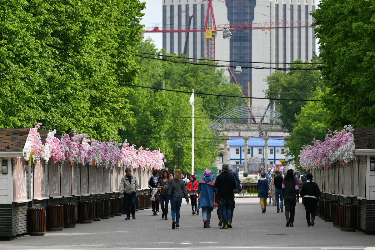 Фото парка сокольники в москве сегодня