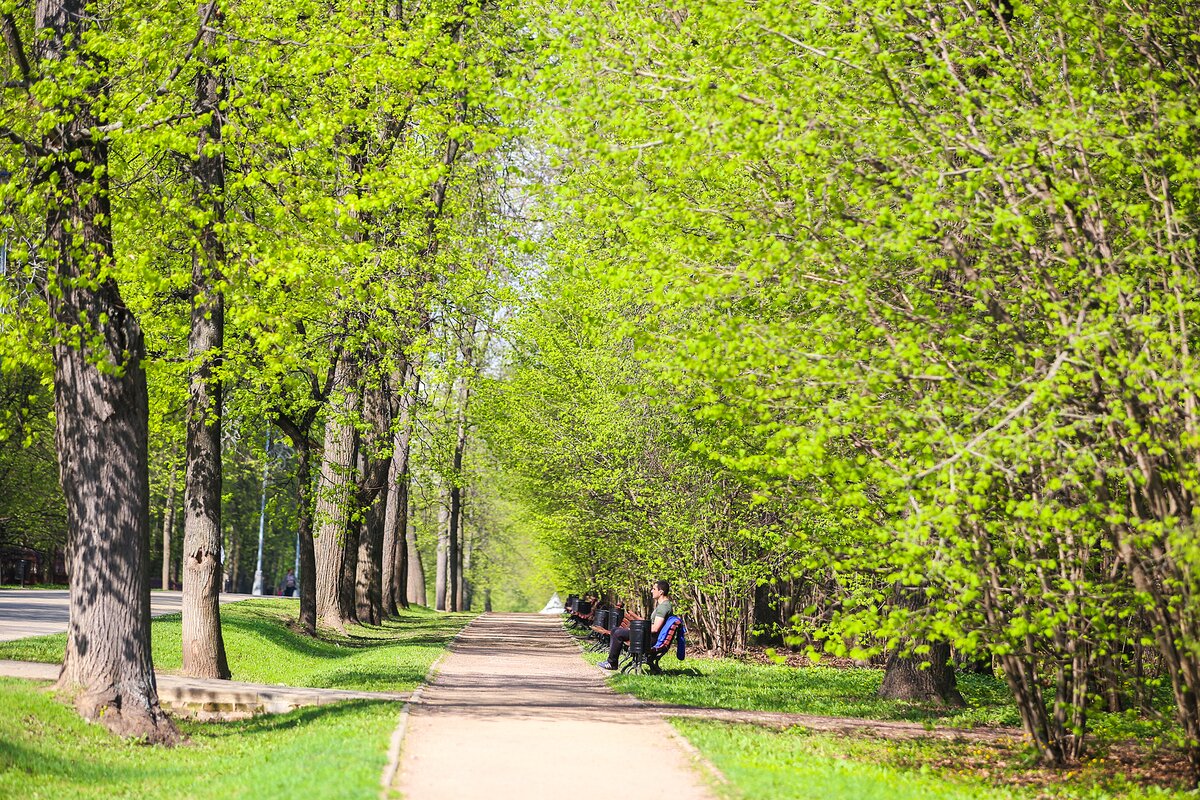 Новослободский парк москва карта