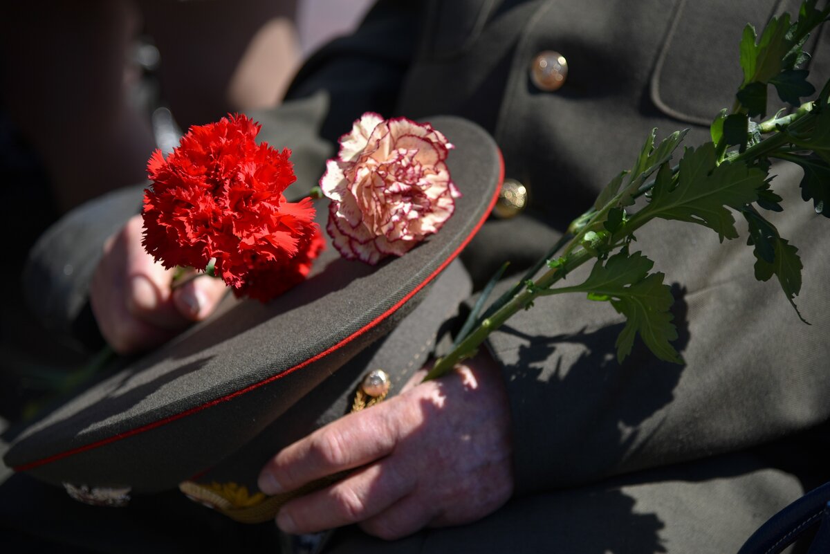 Фото с гвоздиками на 9 мая