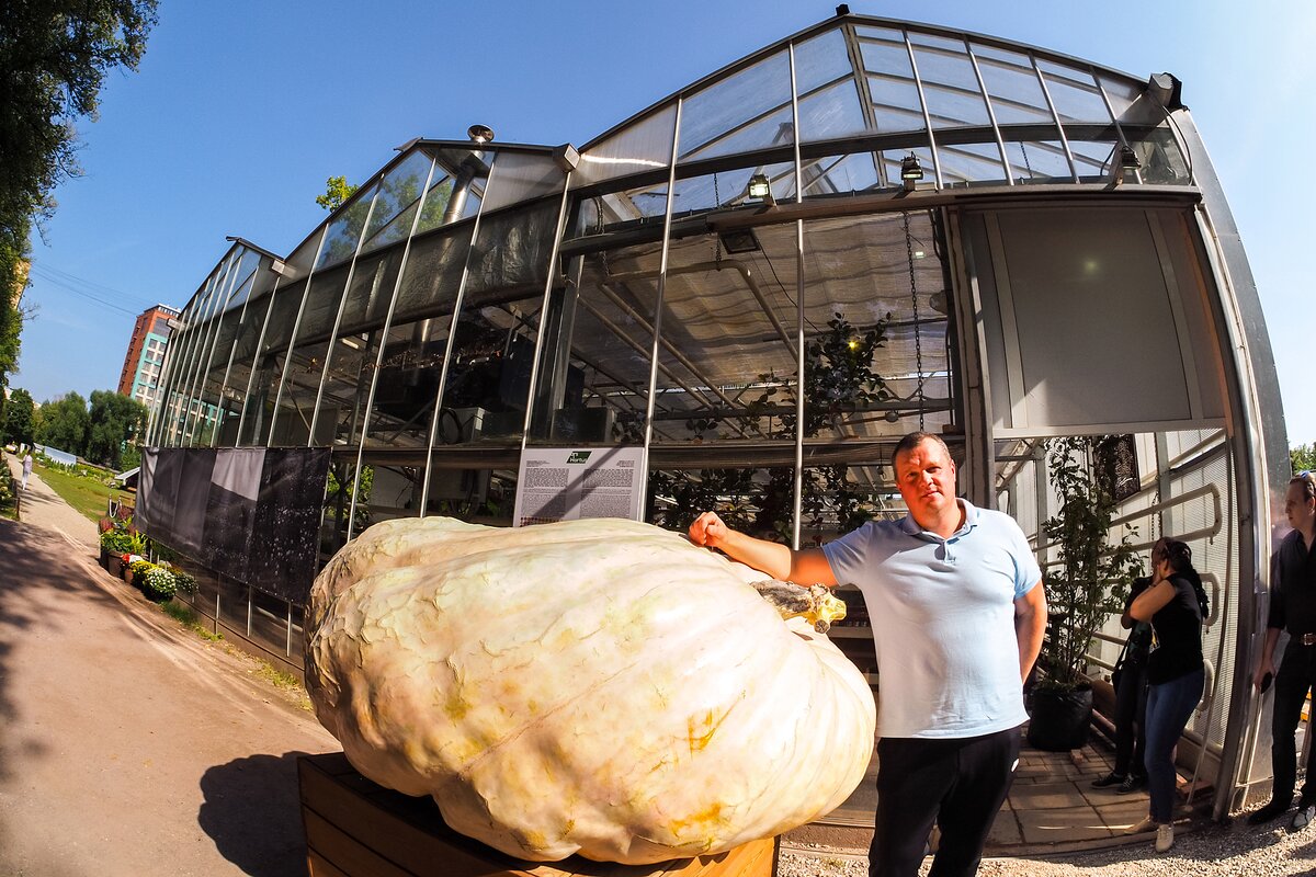 Самый большой овощ в мире фото