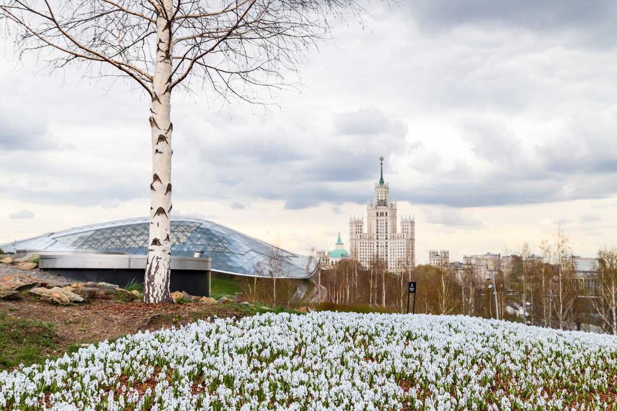 Парк зарядье в москве фото 2023