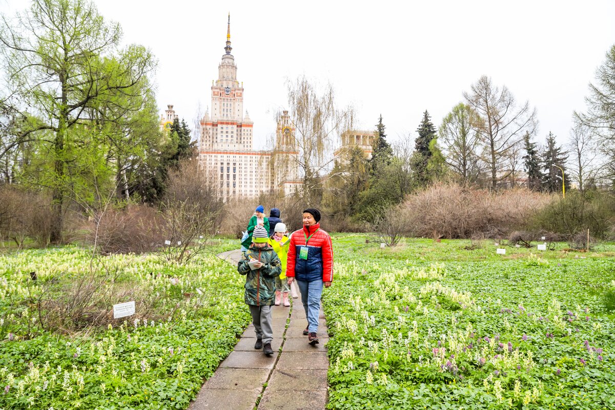 Схема ботанического сада мгу на воробьевых горах