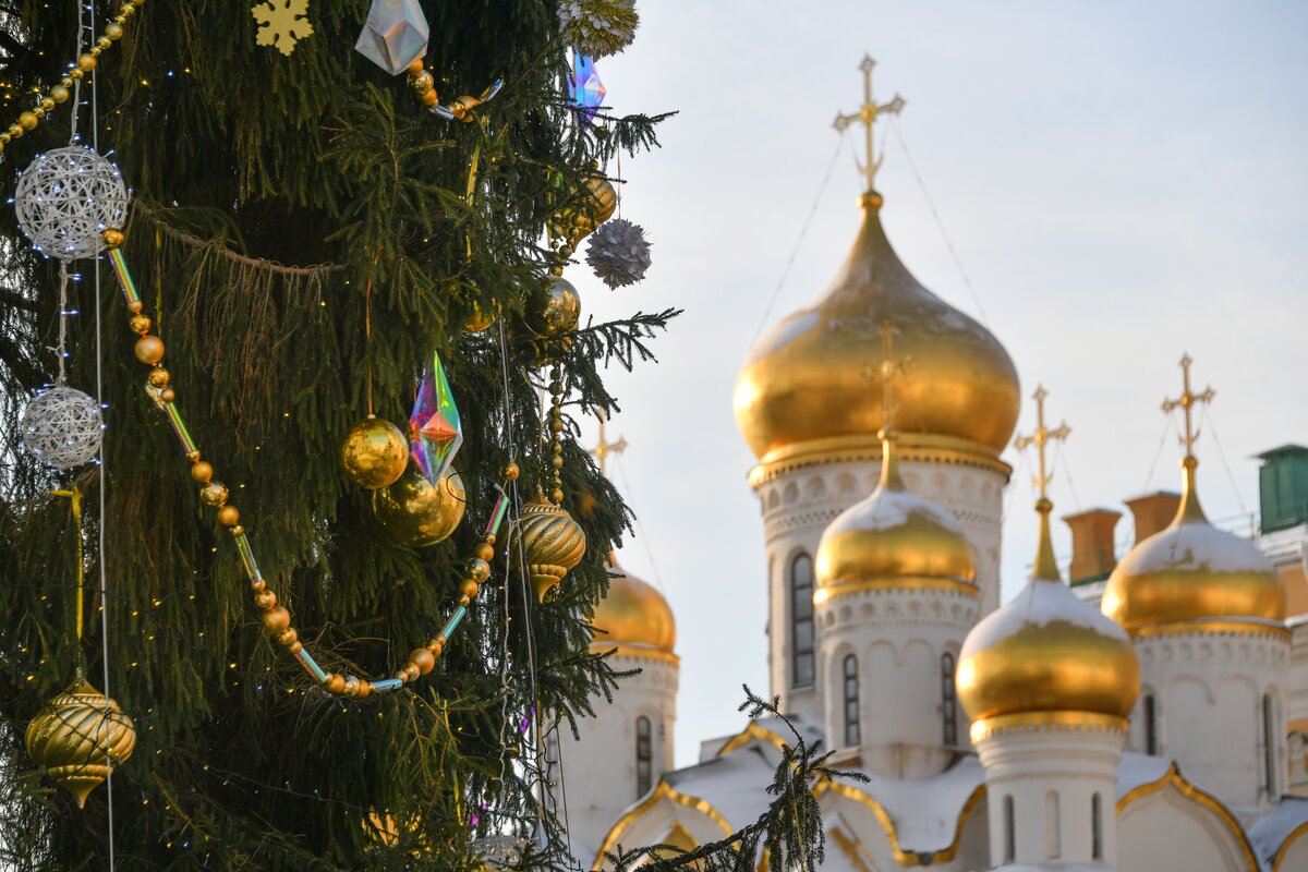 О ели москва. Главная Новогодняя елка страны. Главная ёлка страны в Москве. Главная елка страны 2022 Москва. Новогодняя елка в Москве в Кремле.