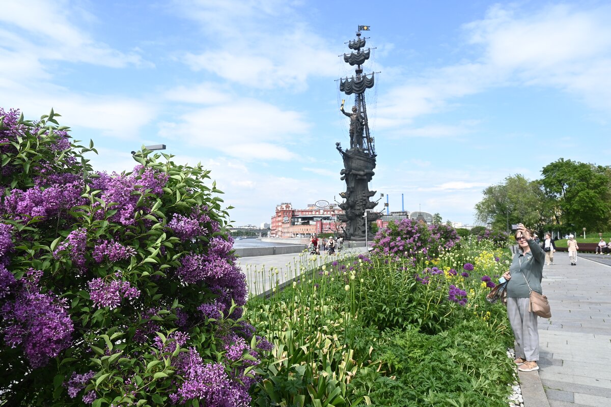 Названы места, где можно посмотреть на цветение сирени – Москва 24,  03.06.2022