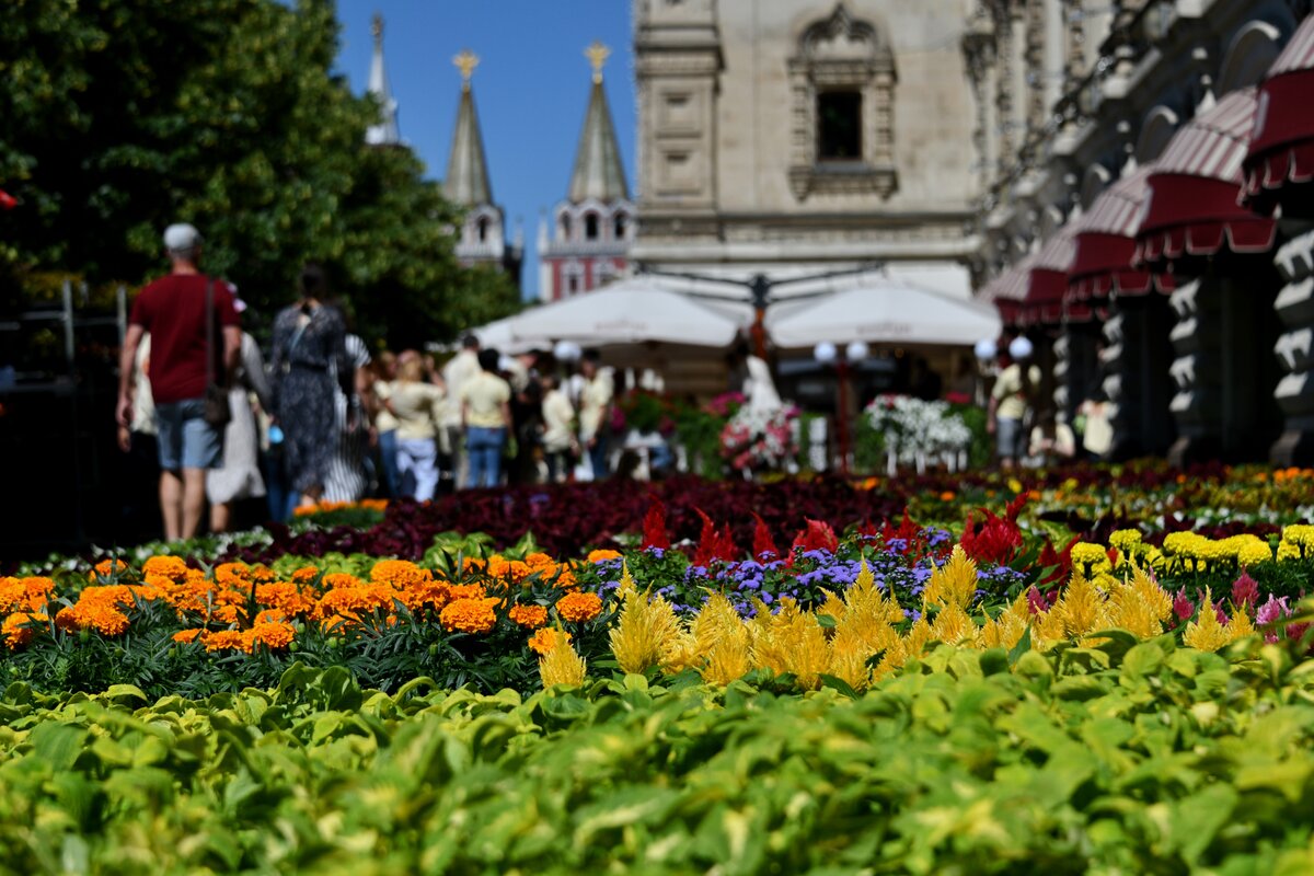 Flowers moscow. Цветы в ГУМЕ 2022. ГУМ лето 2022. ГУМ Москва 2022 лето. Фестиваль цветников в Москве 2022.