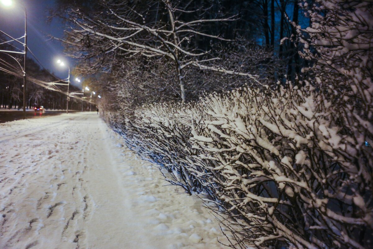 Фото снегопада в москве