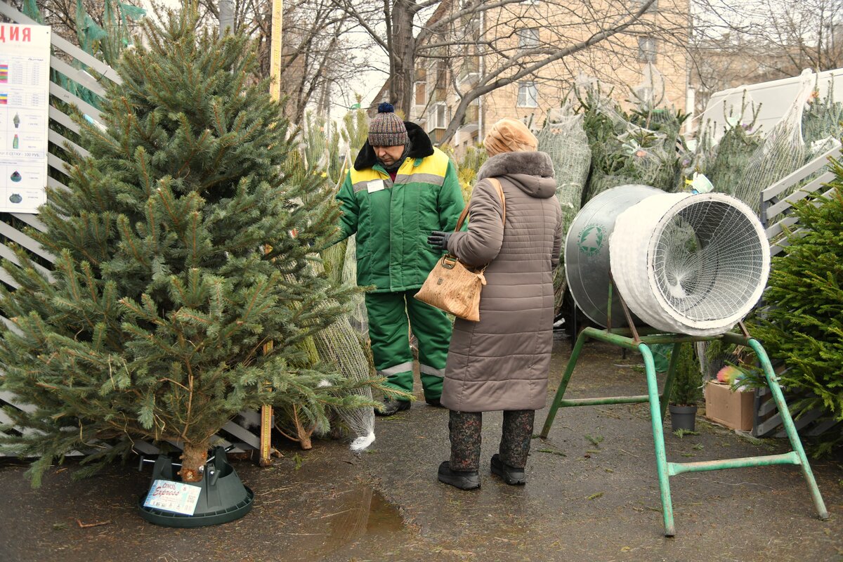 Когда откроются елочные базары в москве. Елочные базары Орехово-Борисово. Елочный базар Королев 2022. Елочный базар Ульяновск 2022. «Байкал-Daily» елочные базары Тарасенко.