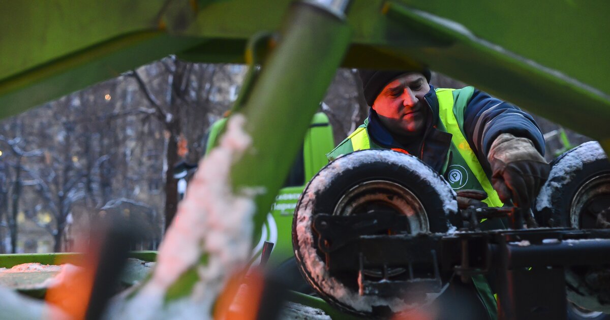 Карта газонов в москве мади онлайн проверка