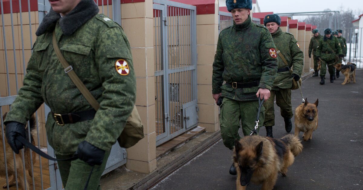 Объекты государственной охраны. ВВ МВД РФ охрана ВГО. Части ВГО ВВ МВД. Патруль внутренних войск. Охрана важных государственных объектов.