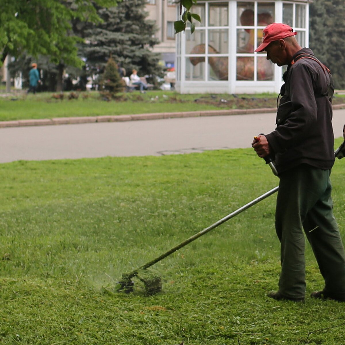 Дикорастущие газоны будут косить два раза в год – Москва 24, 26.06.2015