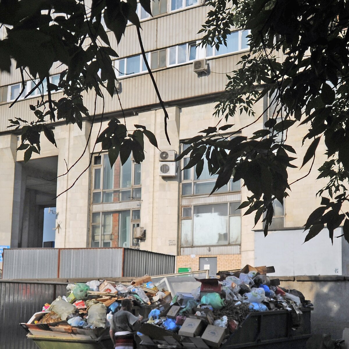 В центре Москвы около мусорного контейнера нашли гроб – Москва 24,  23.07.2015