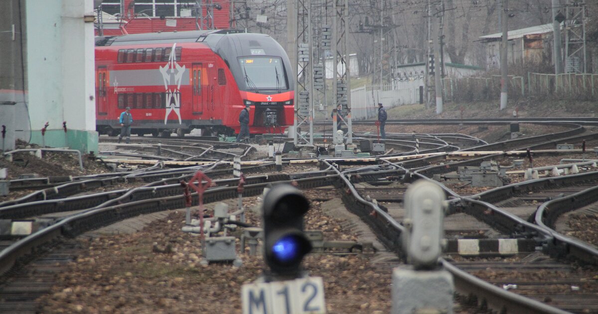 Электричка Москва панки.