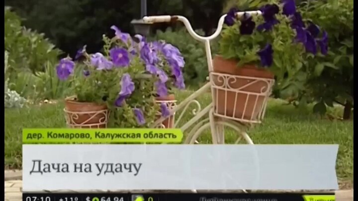 Дачные участники