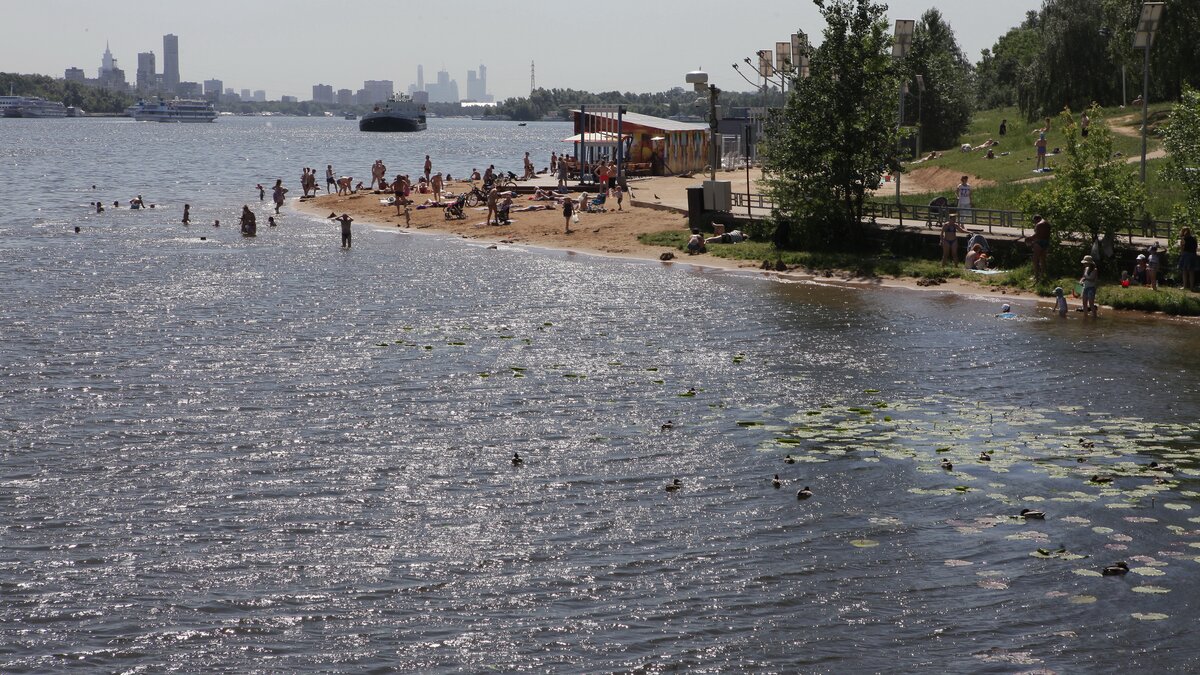 Московские нудисты готовы уйти из Серебряного бора в Подмосковье – Москва  24, 12.08.2015