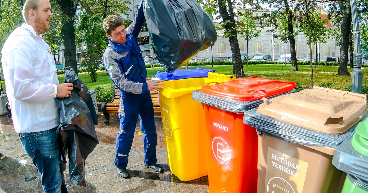 Фото раздельного сбора мусора