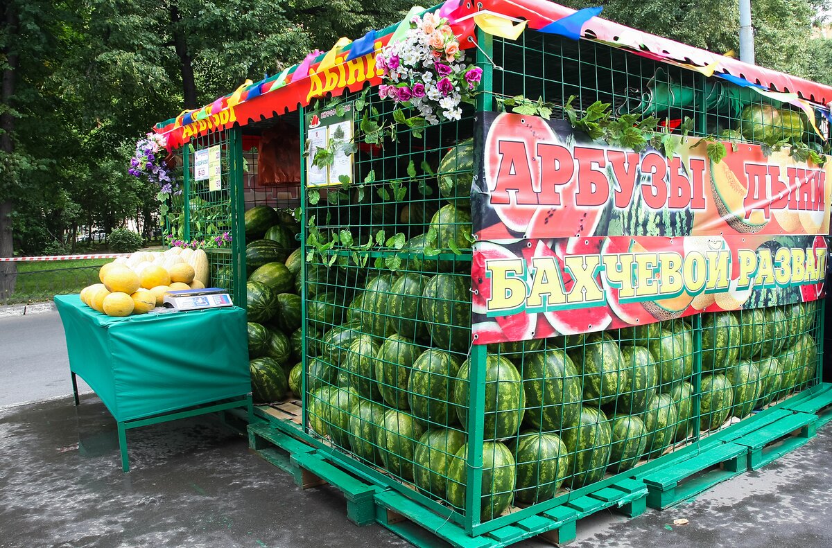 Ягода в полоску: где купить арбуз в Москве – Москва 24, 03.08.2016