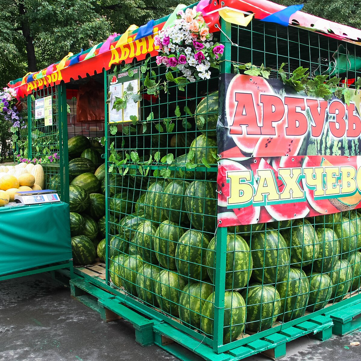 Ягода в полоску: где купить арбуз в Москве – Москва 24, 03.08.2016