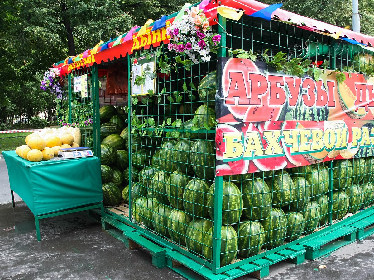 Ягода в полоску: где купить арбуз в Москве – Москва 24, 03.08.2016