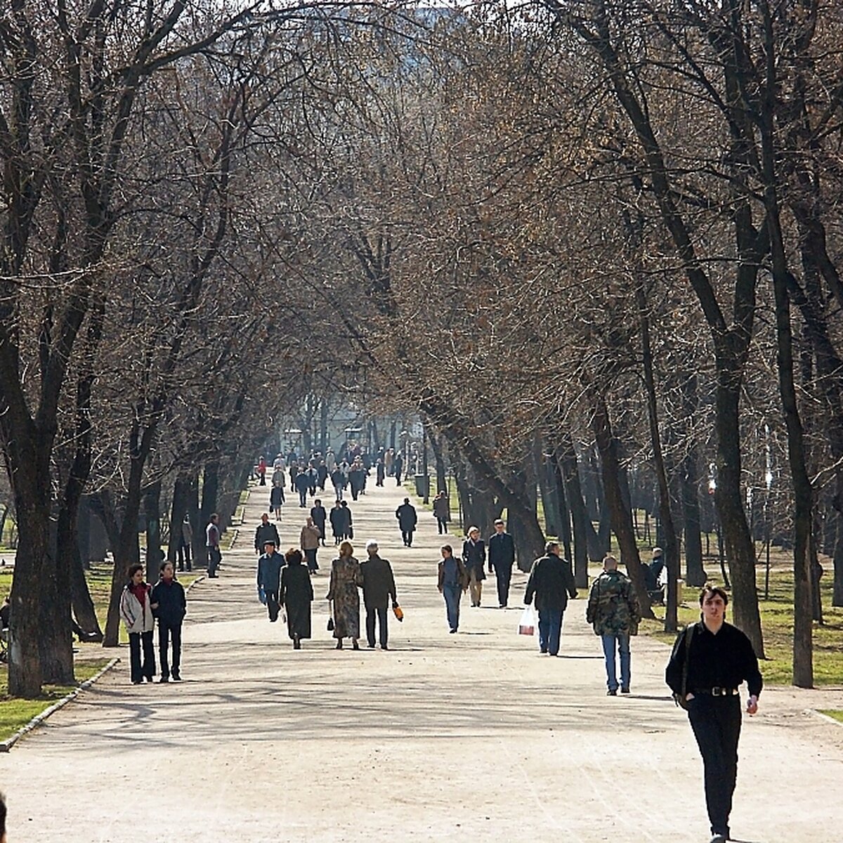 Погода в Могилеве на 31 мая ☁ точный прогноз на « по Цельсию»