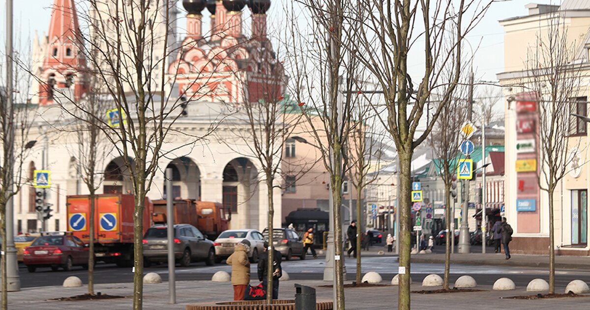 Попугайня в москве таганская