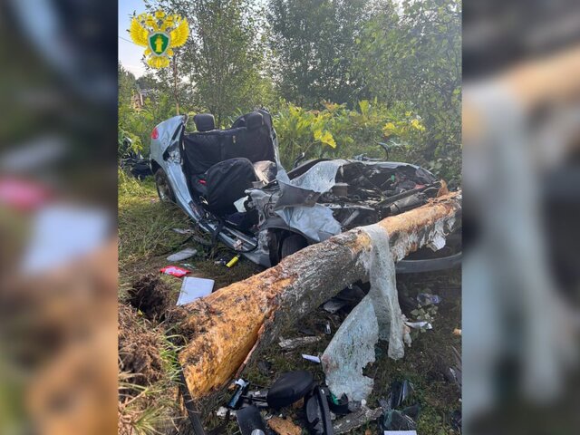 Три человека погибли при столкновении автомобиля с деревом в ТиНАО