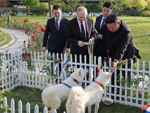 Песков заявил, что подаренным Путину в КНДР собакам дали клички