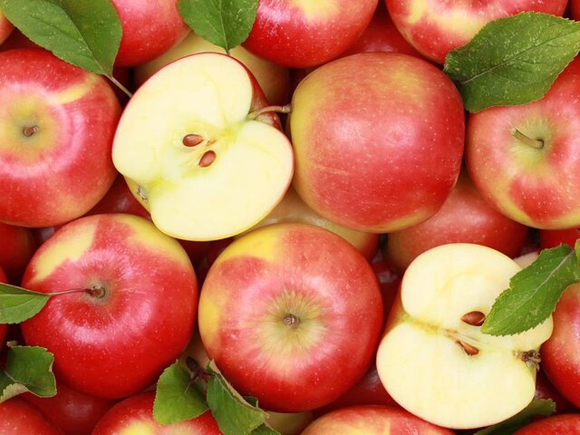 Диетолог Микитюк: потемневшие на воздухе яблоки можно есть
