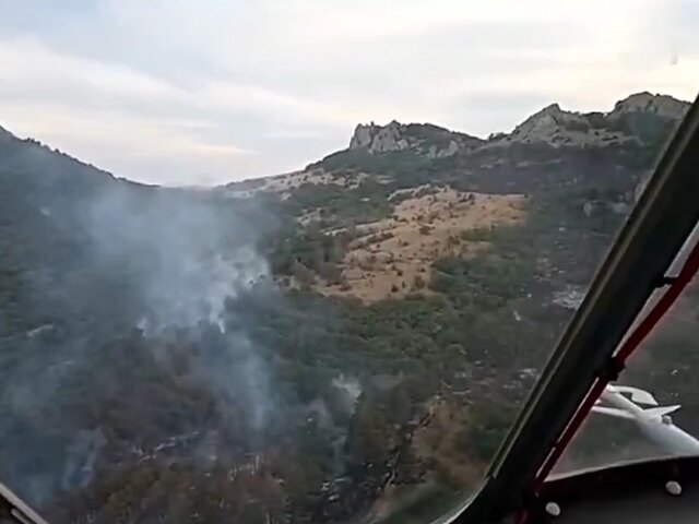 Природный пожар в Коктебеле в Крыму локализован на площади в 40 гектаров