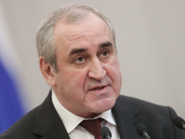 Депутат Неверов подал заявление на работу в комитете ГД по делам национальностей