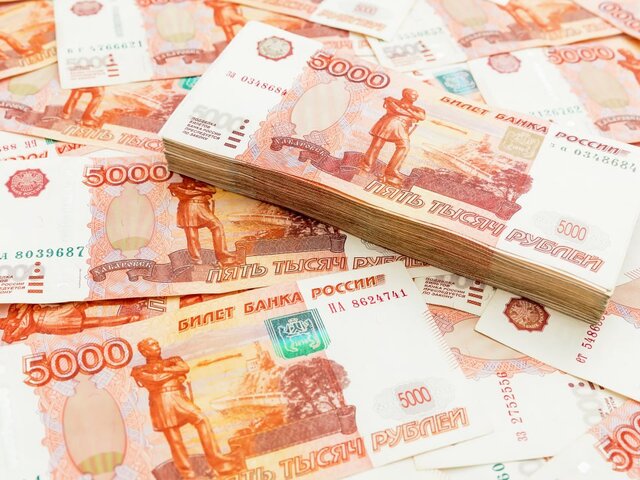 ГД приняла поправку о выплате 10 тысяч рублей из остатков маткапитала